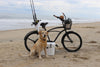 Bicycle Fishing Rod Holder on Beach